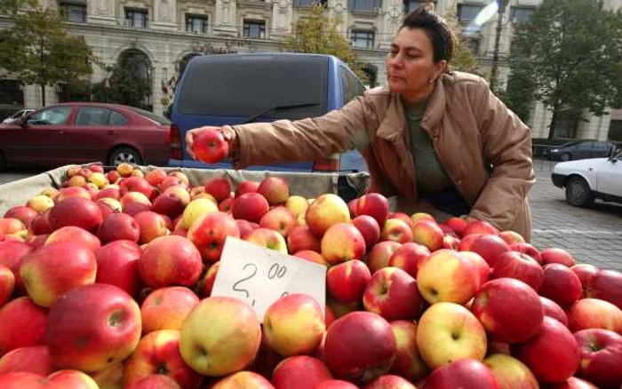 Petrecere la Batoş, de Sărbătoarea mărului 