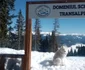 Domeniul Schiabil Transalpina - Voineasa din Vâlcea şi mascota locului - câinele Salvamont Voineasa - Nur Foto Marcel Andreescu