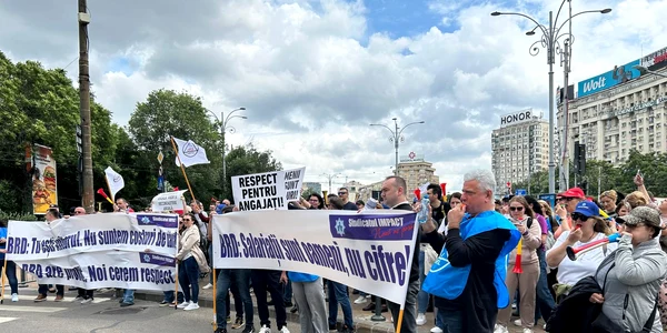   Foto Adevarul jpeg