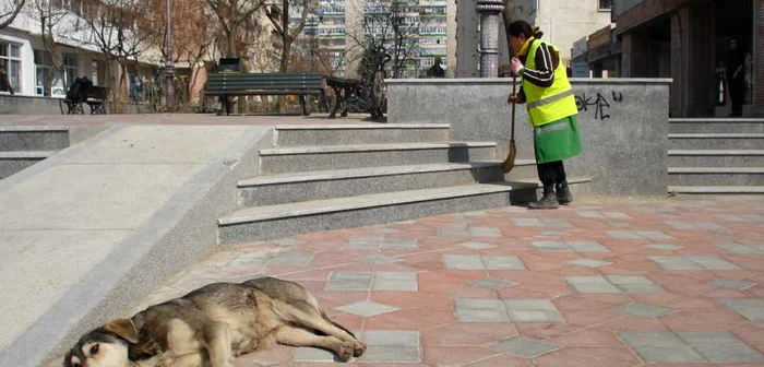 Muncitorii Salubris vor mătura mai puţin