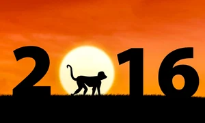 maimuta de foc horoscop 2016 0 jpeg