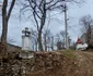 Cheile Cibului  Foto Daniel Guță ADEVĂRUL (13) 001 jpg