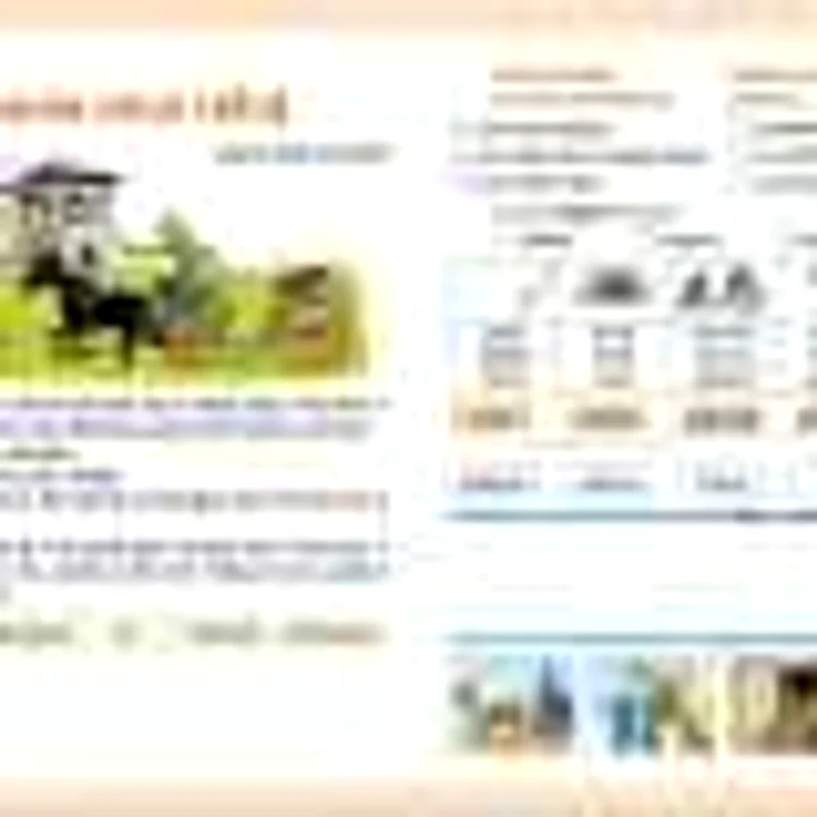 joc de limba romana test manual