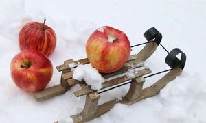 flu 4802770 1280 jpg