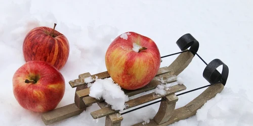 flu 4802770 1280 jpg