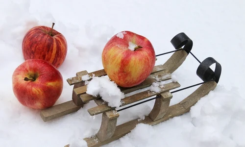 flu 4802770 1280 jpg