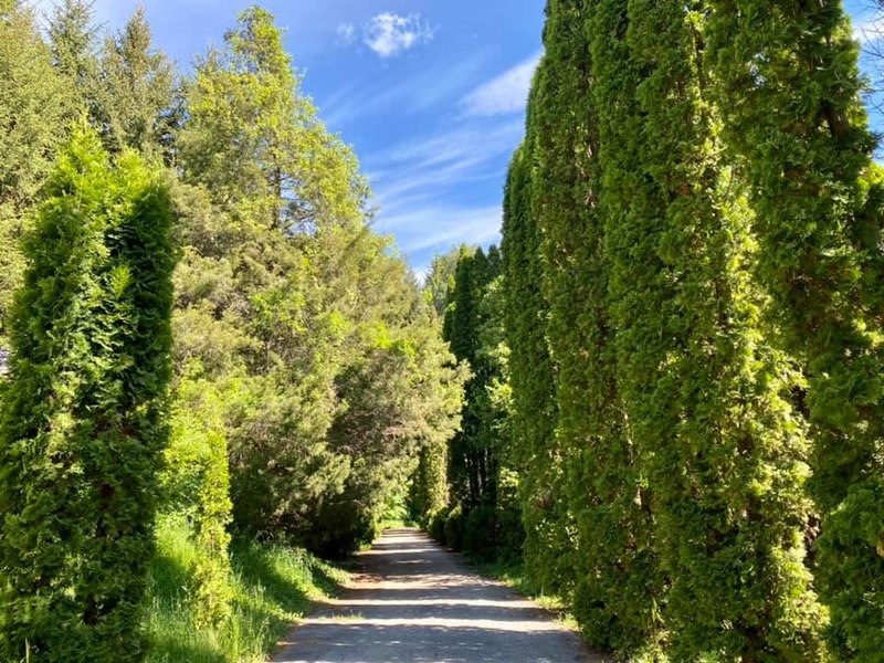 Parc dendrologic din România, unicat în Europa. Creatorul său, apreciat de Regele Carol I