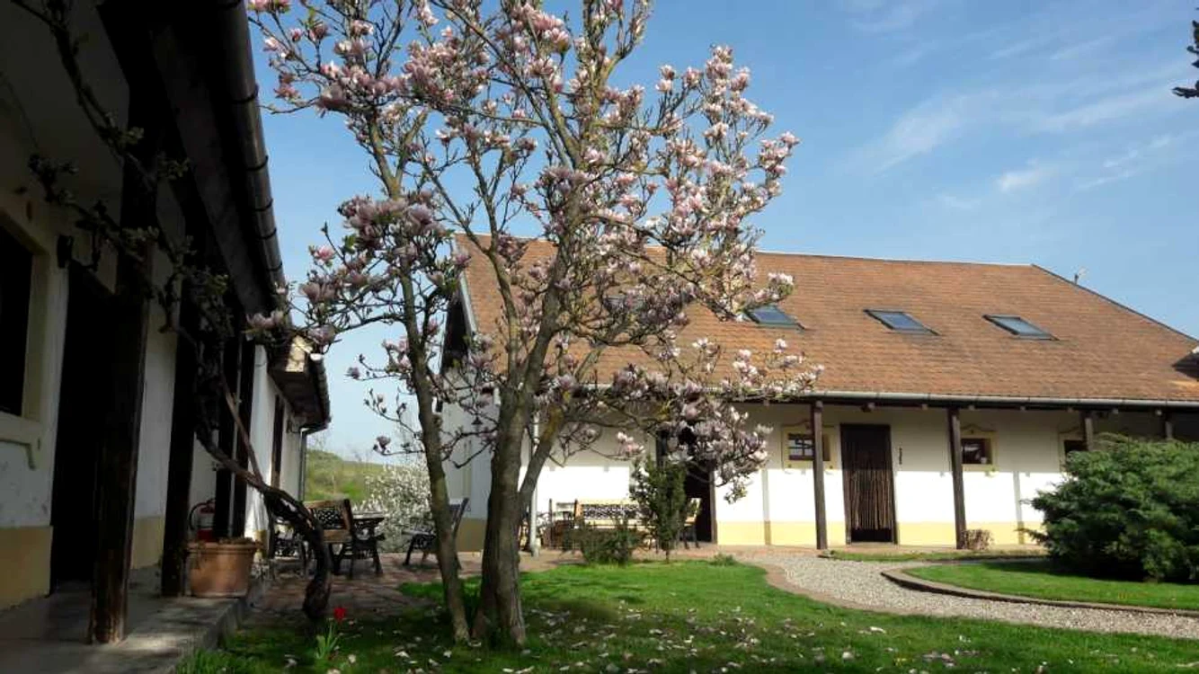 Altringen FOTO Ş.Both