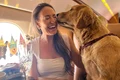 k9 jets instagram jpg