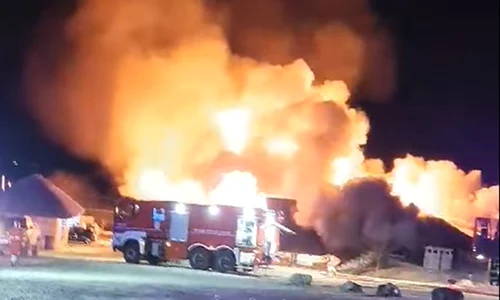 incendiu urias ferma dacilor jpg