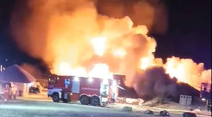 incendiu urias ferma dacilor jpg