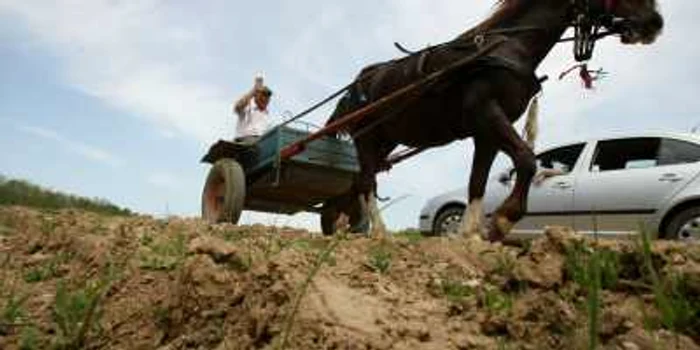 Agricultura are nevoie de o reformă structurală prin care două milioane de oameni să treacă din agricultura de subzistenţă în activităţi de mica industrie si servicii, derulate tot în mediul rural  FOTO Marian Iliescu