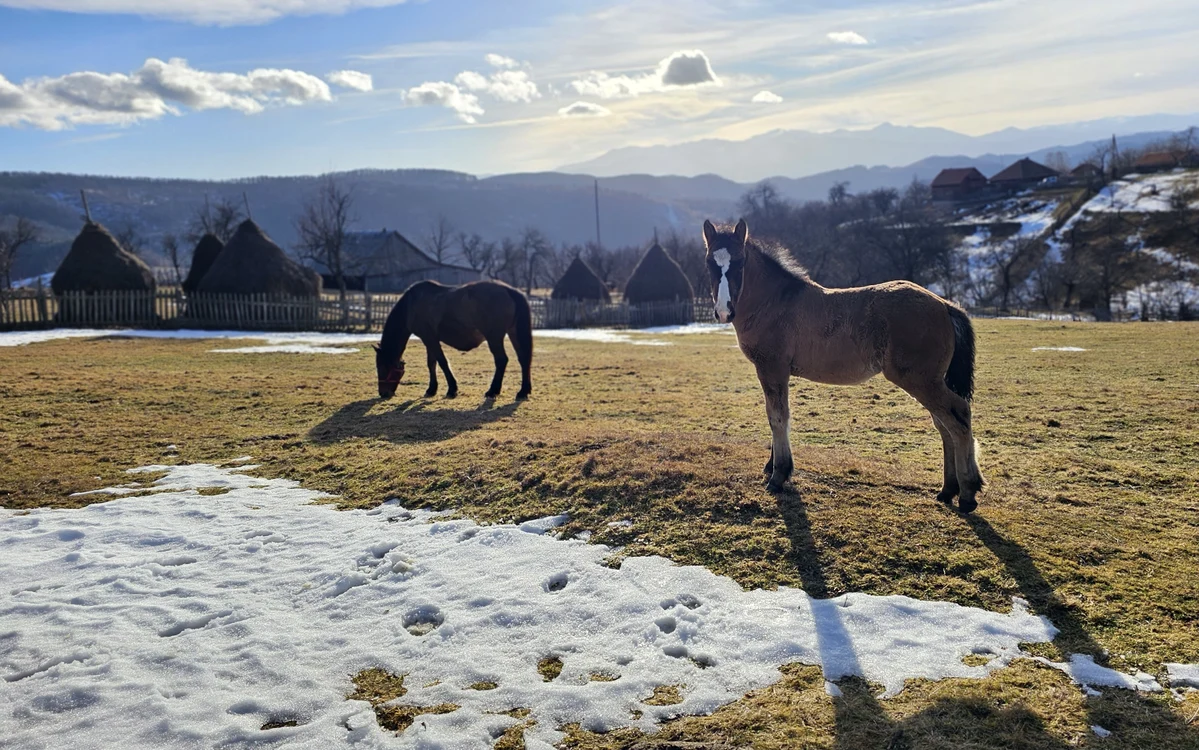Peisaj rural de pe Via Transilvanica. Foto: Daniel Guță. ADEVĂRUL