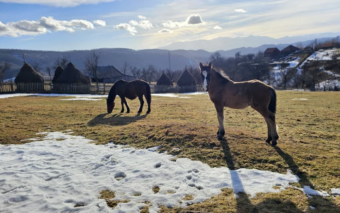 Peisaj rural de pe Via Transilvanica. Foto: Daniel Guță. ADEVĂRUL