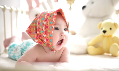 1 bbs imagine prezentare jpg jpeg