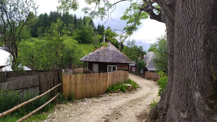 Goiești, sat din comuna Vidra. Sursa: Comuna Vidra. Facebook