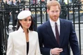 meghan markle si printul harry