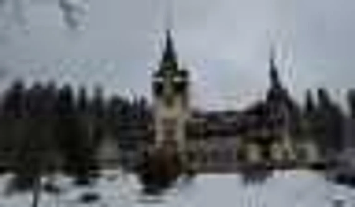 castelul peles foto dana mihai