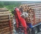 Camera video este, deja, funcţională. Foto: Direcţia Silvică Bihor