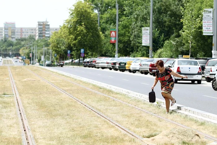 
    2014: Iarba plantată între  şinele de tramvai s-a  ofilit complet. Reporterii  noştri nu au văzut nici  un aspersor de irigaţiiFotografii: Dorin Constanda/ Marian Iliescu  