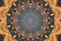 echinosctiul de toamna horoscop shutterstock 2191727023 jpg