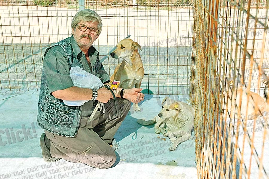 Un husky aşteaptă după gratii ca să fie şi el luat acasă (Fotografii: Dorin Constanda )