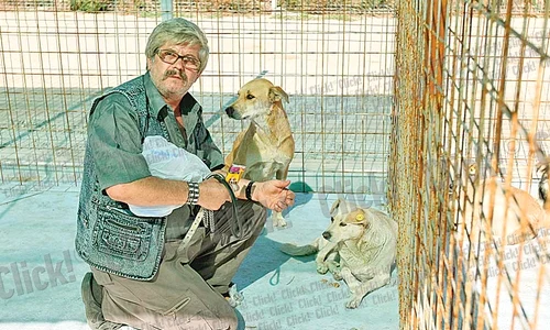 Un husky aşteaptă după gratii ca să fie şi el luat acasă  (Fotografii: Dorin Constanda ) jpeg