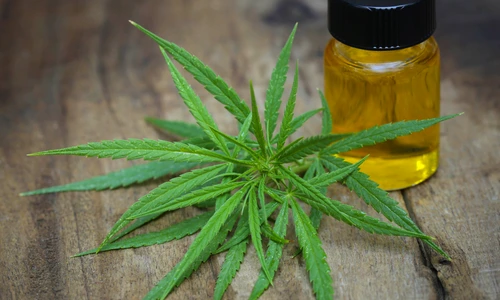 2 ulei de canabis 2 jpg jpeg