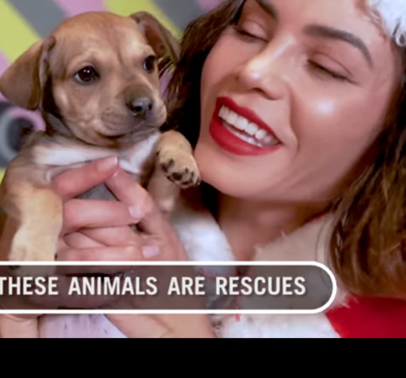 jenna dewan png
