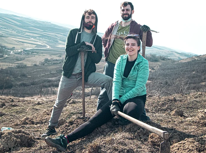 Mmembrii echipei Muma Pădurii au reușit să planteze un hectar de pădure în județul Bistrița-Năsăudfoto: arhiva personală