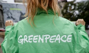 Greenpeace FOTO Shutterstock