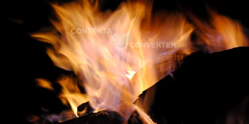 foc