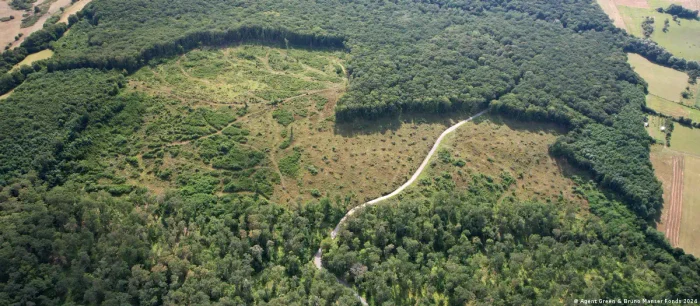 Zonă de pădure tăiată la ras, lângă Vard, Sibiu. Această pădure face parte dintr-o arie protejată