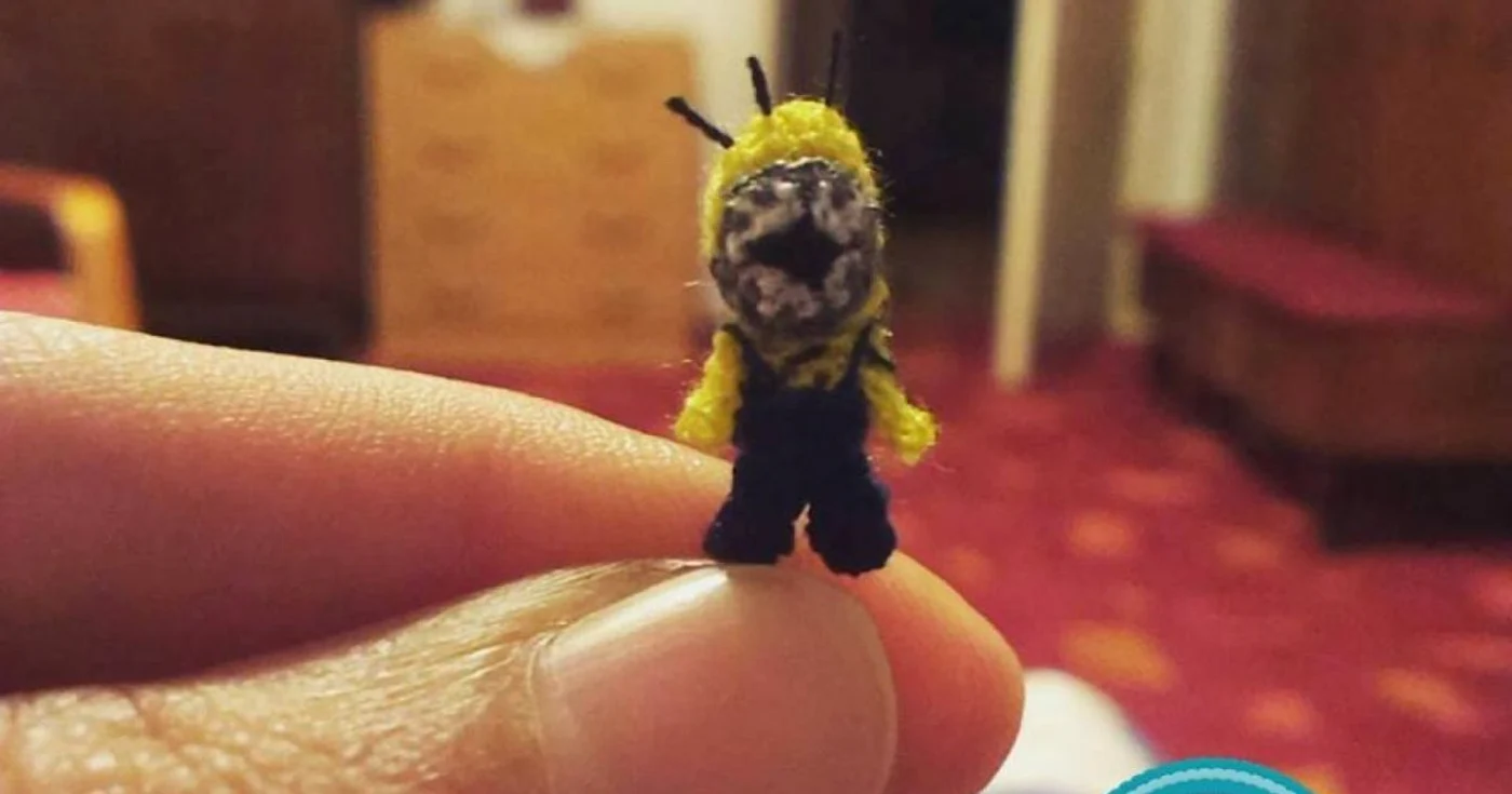 o clujeanca face figurine din desene animate foto