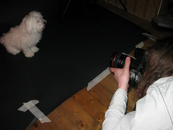 Shoot My Pet