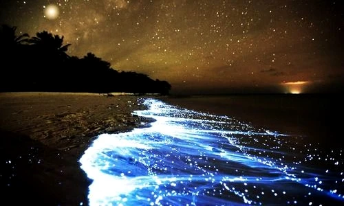 Cele mai frumoase plaje din lume  Top 10 locuri de poveste jpeg