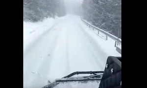 pasul prislop 8 aprile Bucovina tv regional png