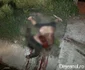 accident mortal ciceu mihaiesti 3