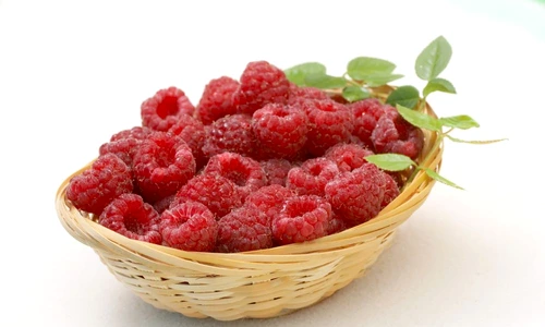 1 70133 original jpg jpeg