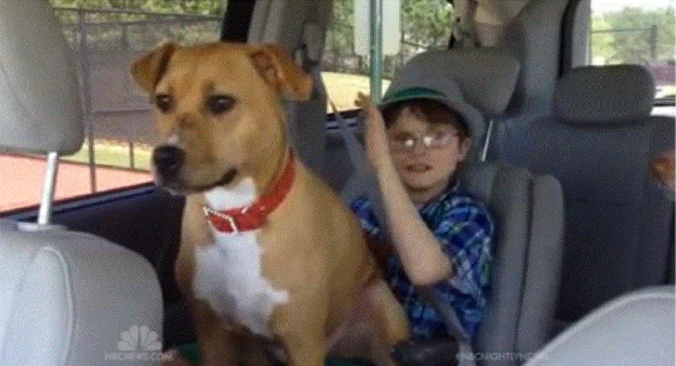 Johnny, băieţelul bolnav de autism, şi căţeluşa Zina