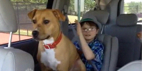 zina si copilul cu autism