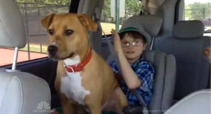 Johnny, băieţelul bolnav de autism, şi căţeluşa Zina