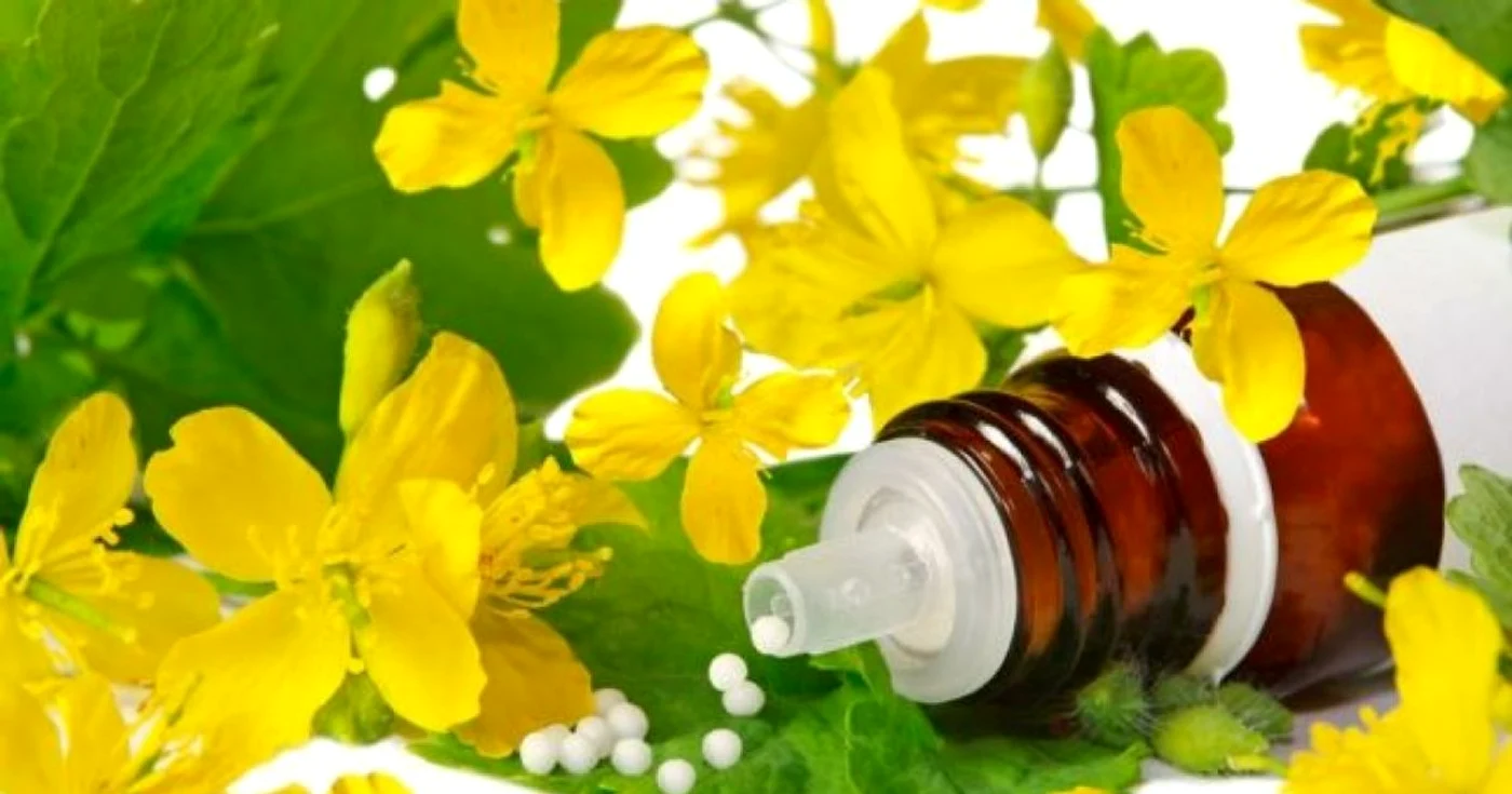 Remedii naturiste cu rostopască FOTO: Shutterstock