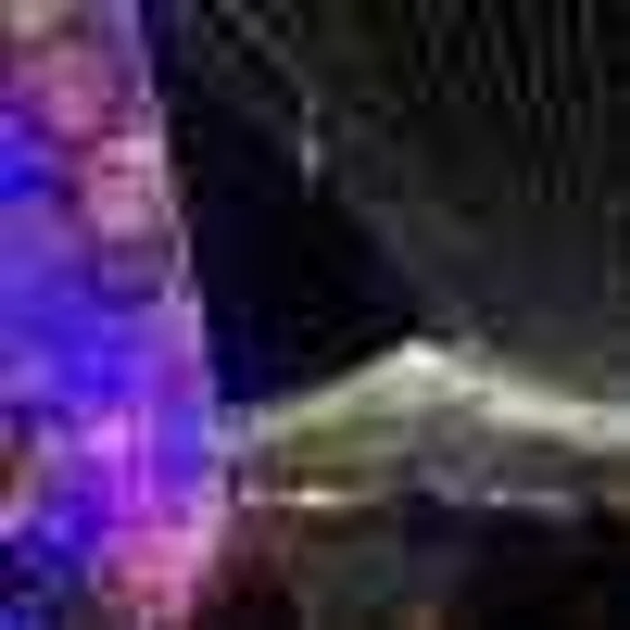 Iluminatul public festiva fost aprins în Craiova în această seară