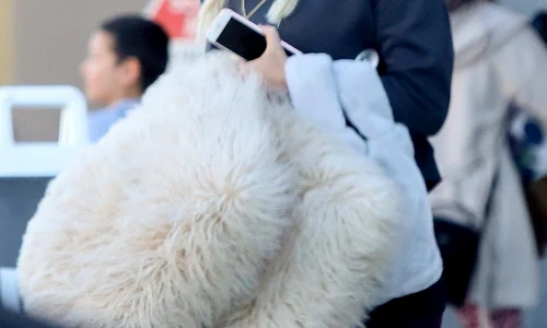 1 profimedia 0412421707 jpg jpeg