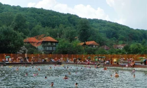 sacelu baza de tratament 