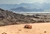 3 cheloo raliul dakar mihai ban reusita romaneasca premiera in automobilism au terminat cursa din arabia saudita 2 jpg jpeg