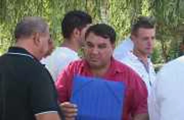 revolta tigani