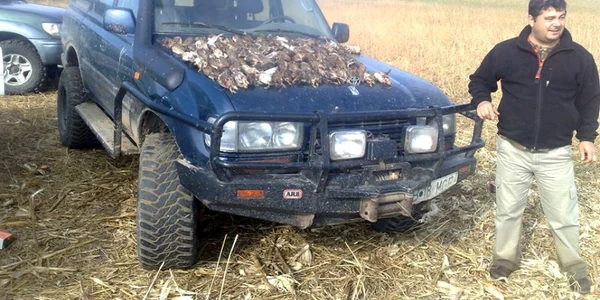 ancheta slobozia