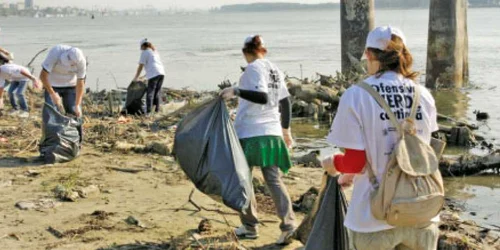 Ecologiştii au adunat deşeurile de pe malul Dunării  